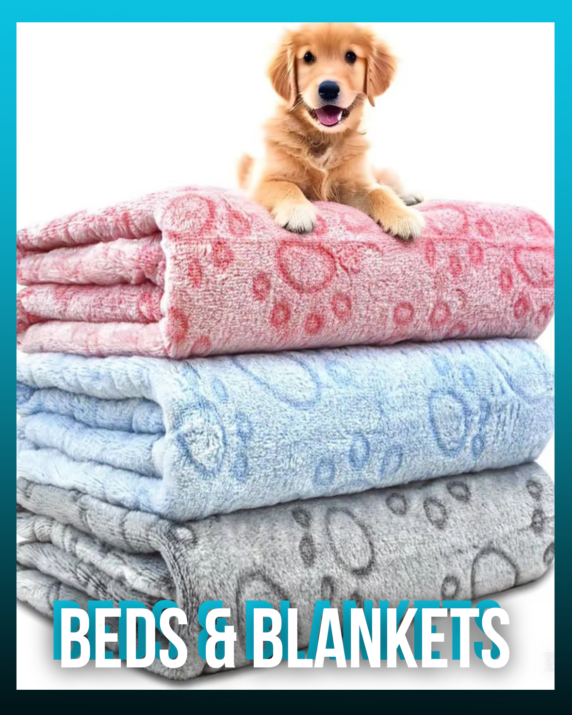 Beds & Blankets