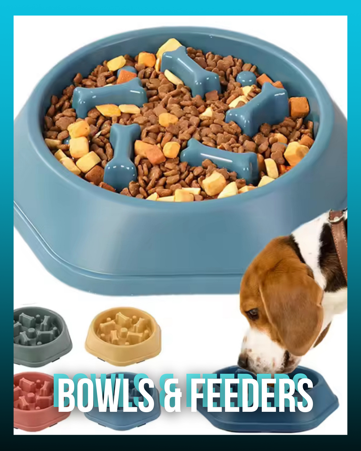 Bowls and Feeders