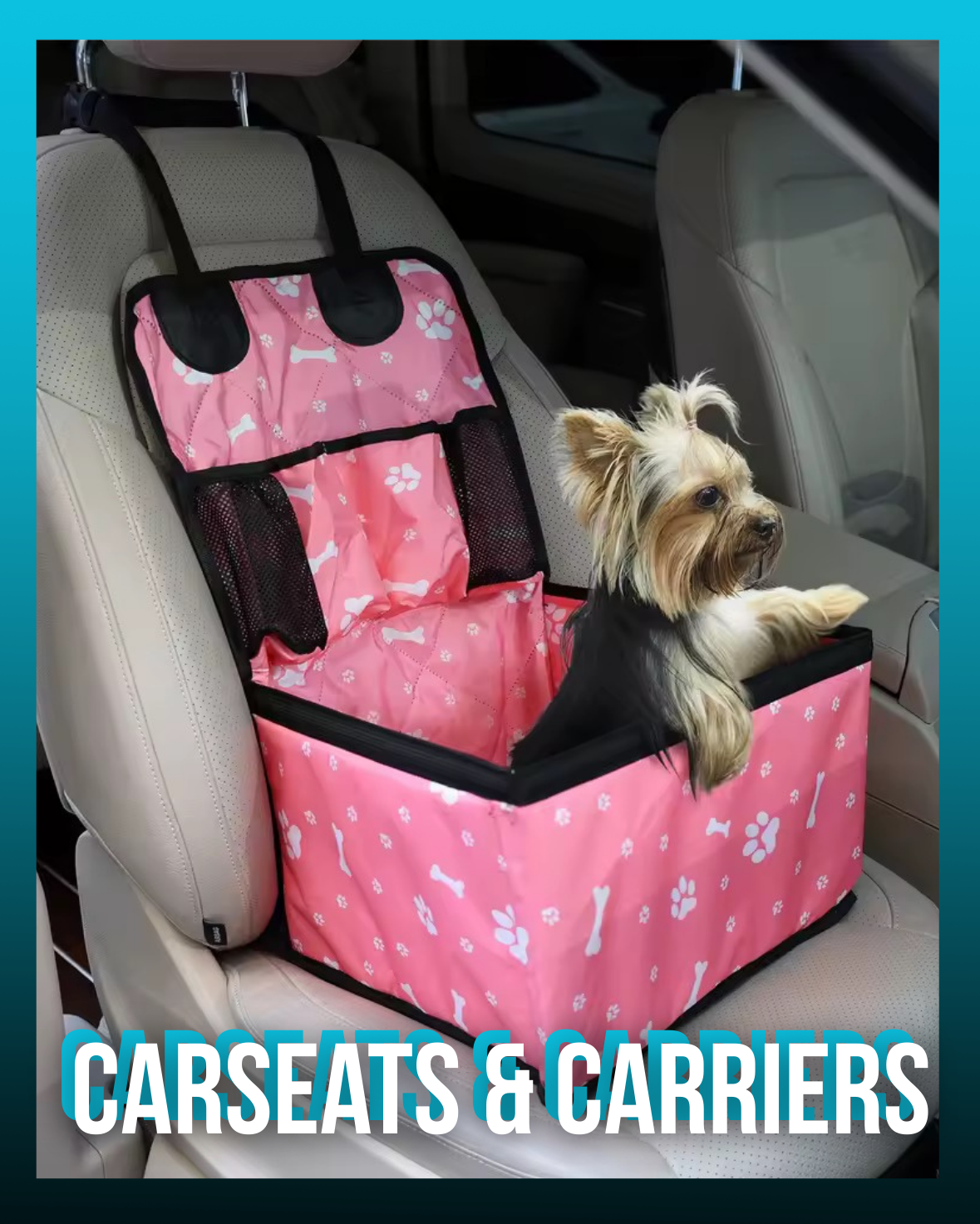Carriers & CarSeats