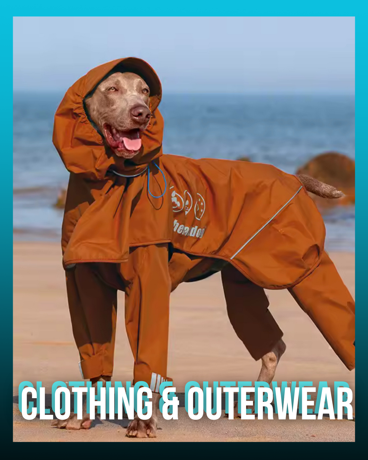 Outerwear & Apparel
