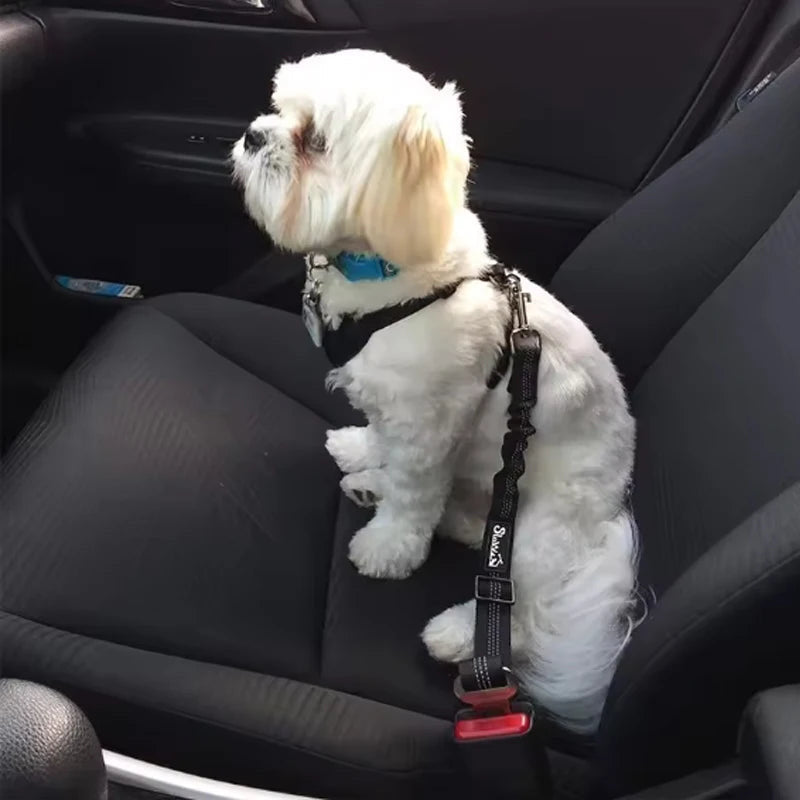 Dog Car Safety Buckle