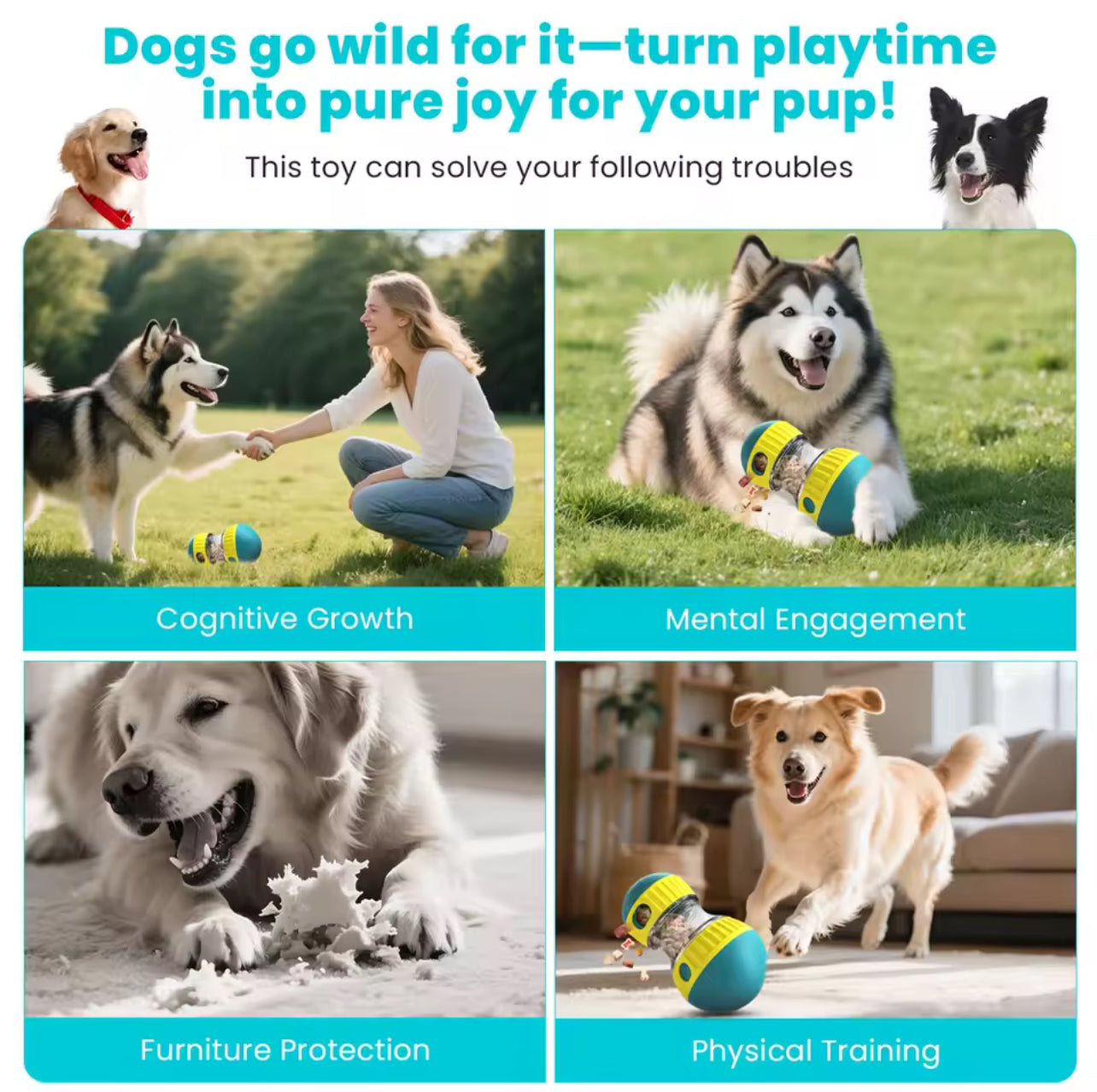 Pet Slow Feeder Toy