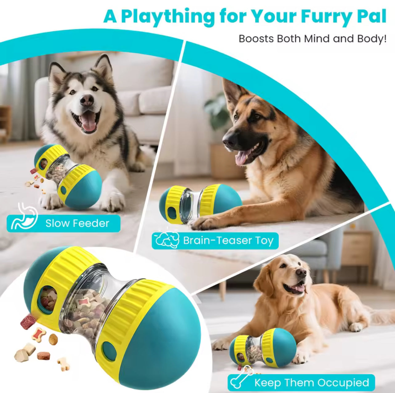 Pet Slow Feeder Toy