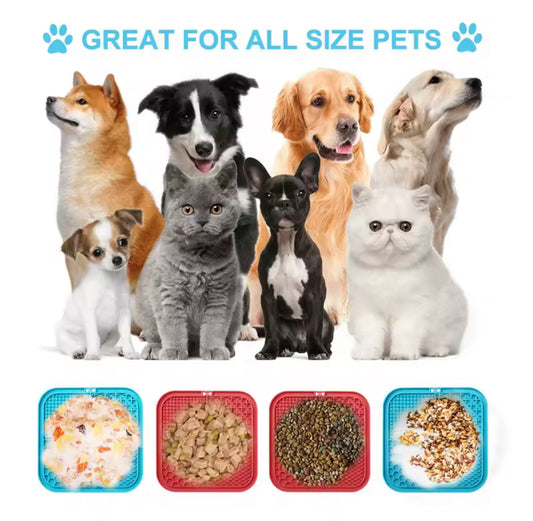 Dog Licking Plate