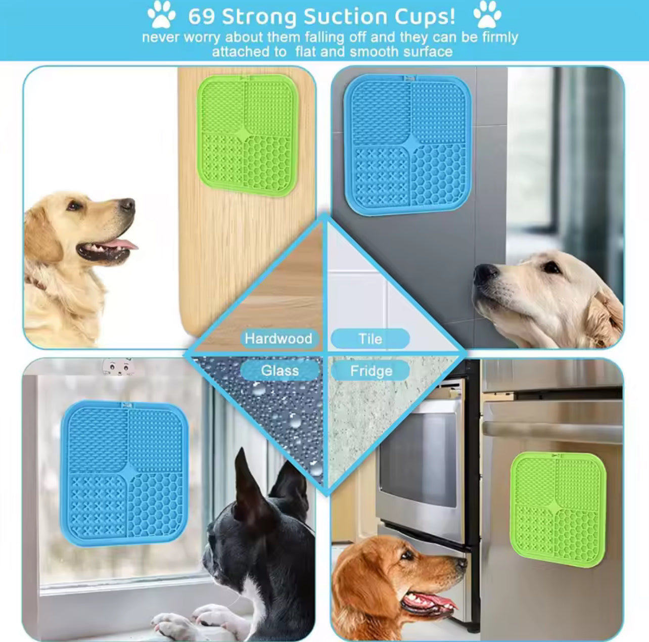 Dog Licking Plate