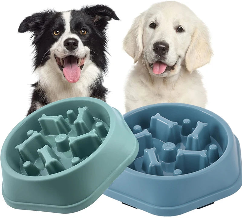 Slow Feeder Puzzle Bowl