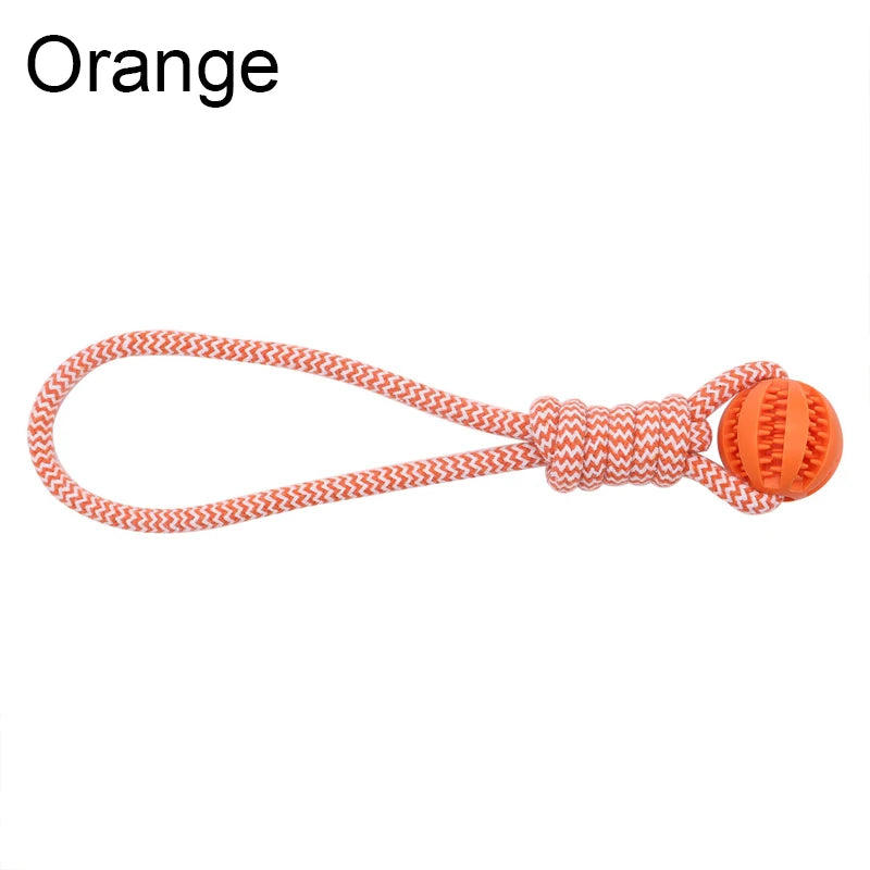 Interactive Toy Rope w/Feeder Ball
