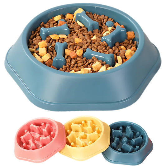 Slow Feeder Puzzle Bowl