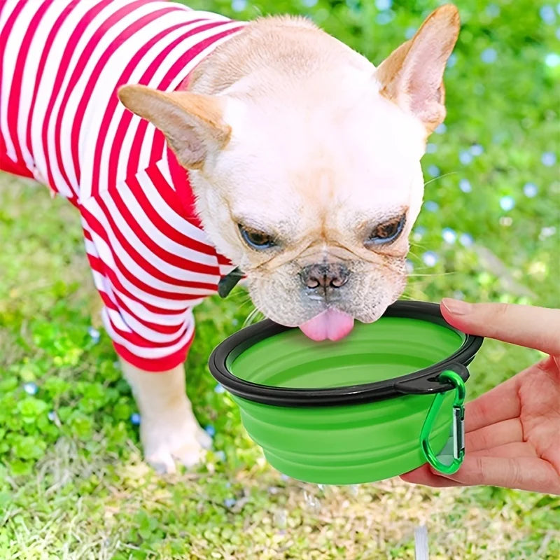 Portable Pet Bowl