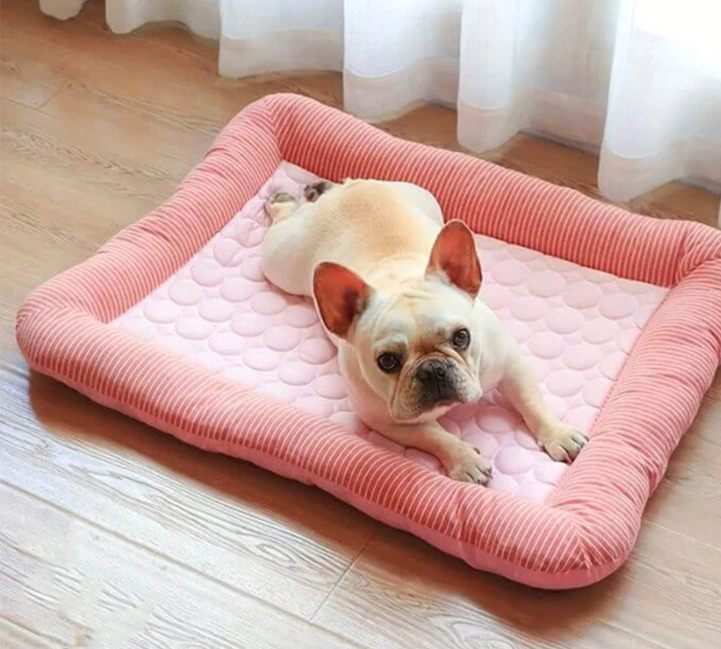 Cooling Dog Bed