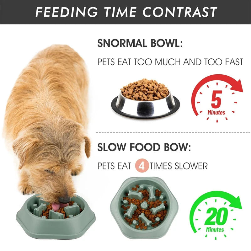 Slow Feeder Puzzle Bowl