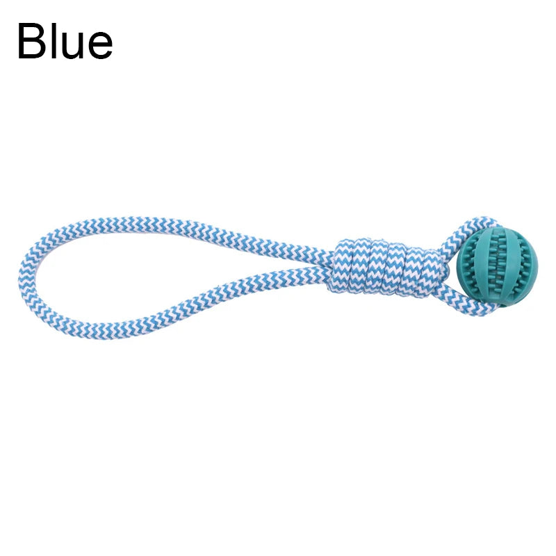 Interactive Toy Rope w/Feeder Ball