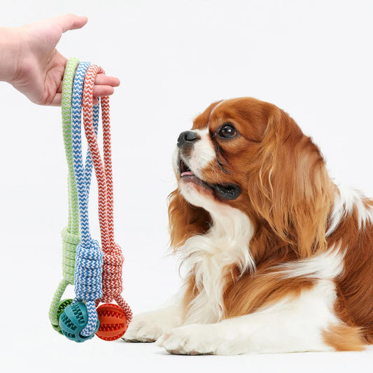 Interactive Toy Rope w/Feeder Ball