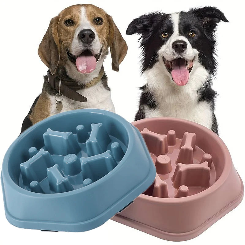 Slow Feeder Puzzle Bowl
