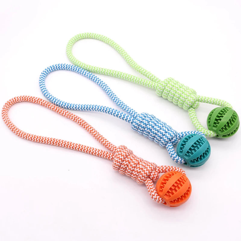 Interactive Toy Rope w/Feeder Ball