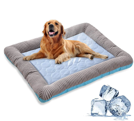 Cooling Dog Bed