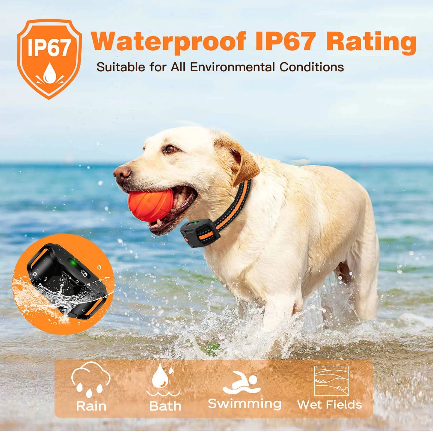 Waterproof Electric Dog Training Collar