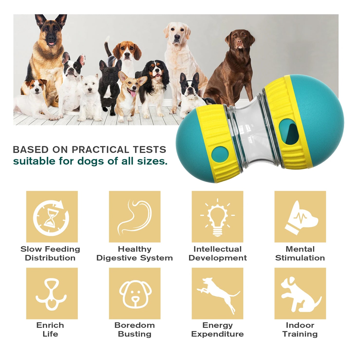 Pet Slow Feeder Toy