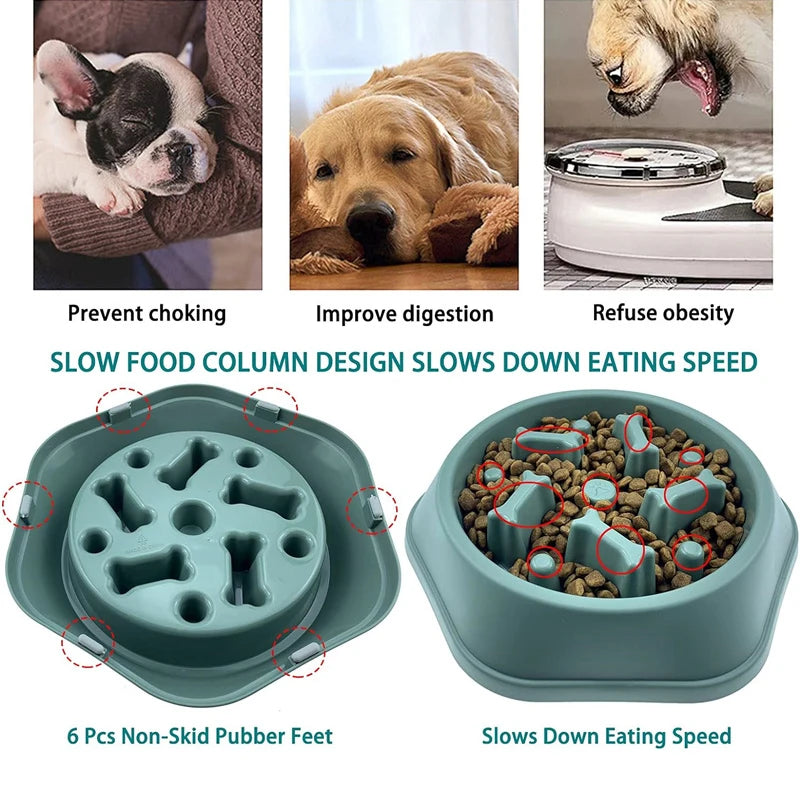 Slow Feeder Puzzle Bowl