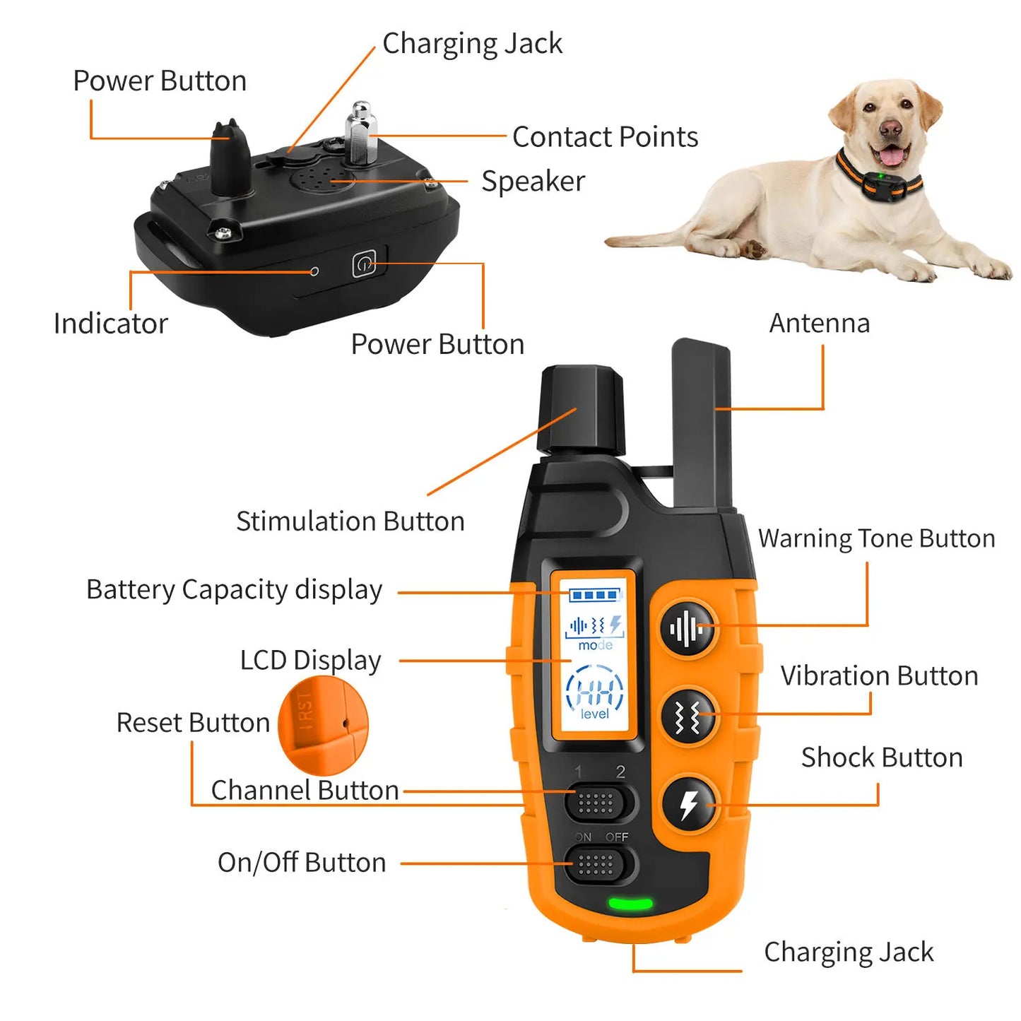 Waterproof Electric Dog Training Collar