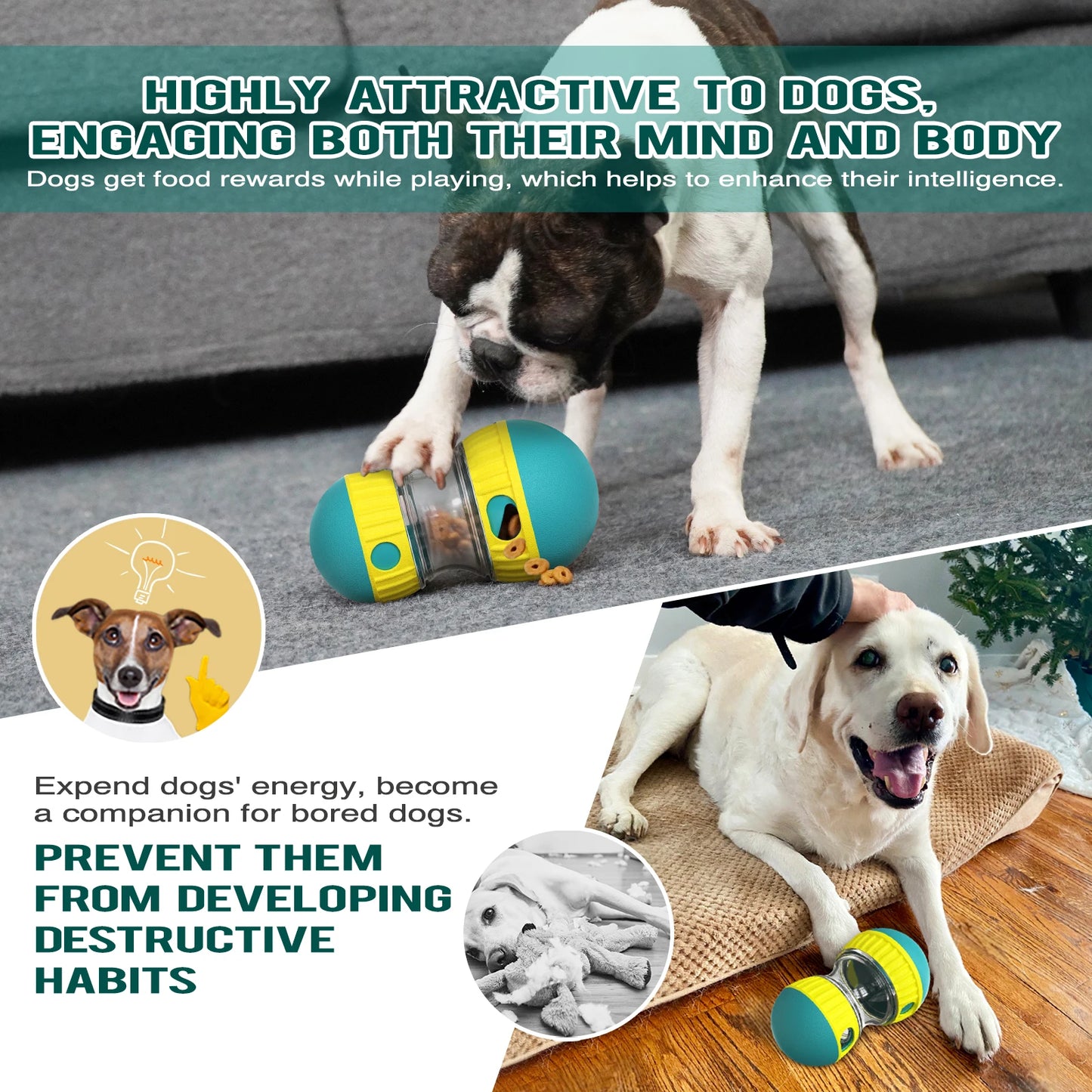 Pet Slow Feeder Toy
