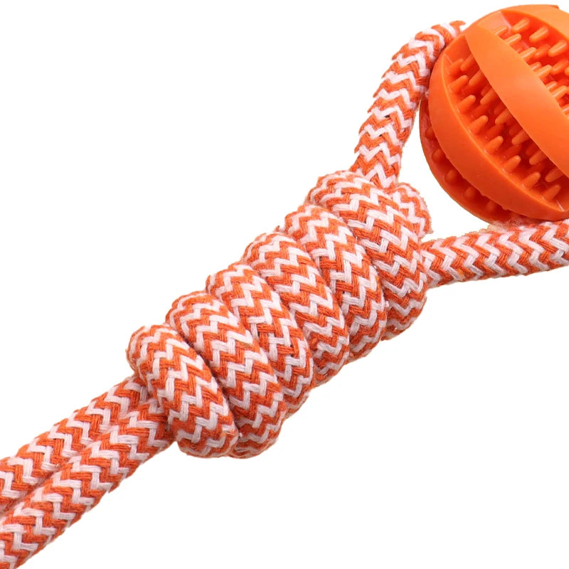 Interactive Toy Rope w/Feeder Ball