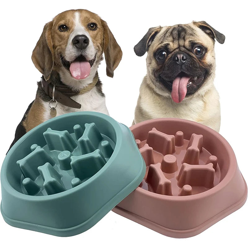 Slow Feeder Puzzle Bowl