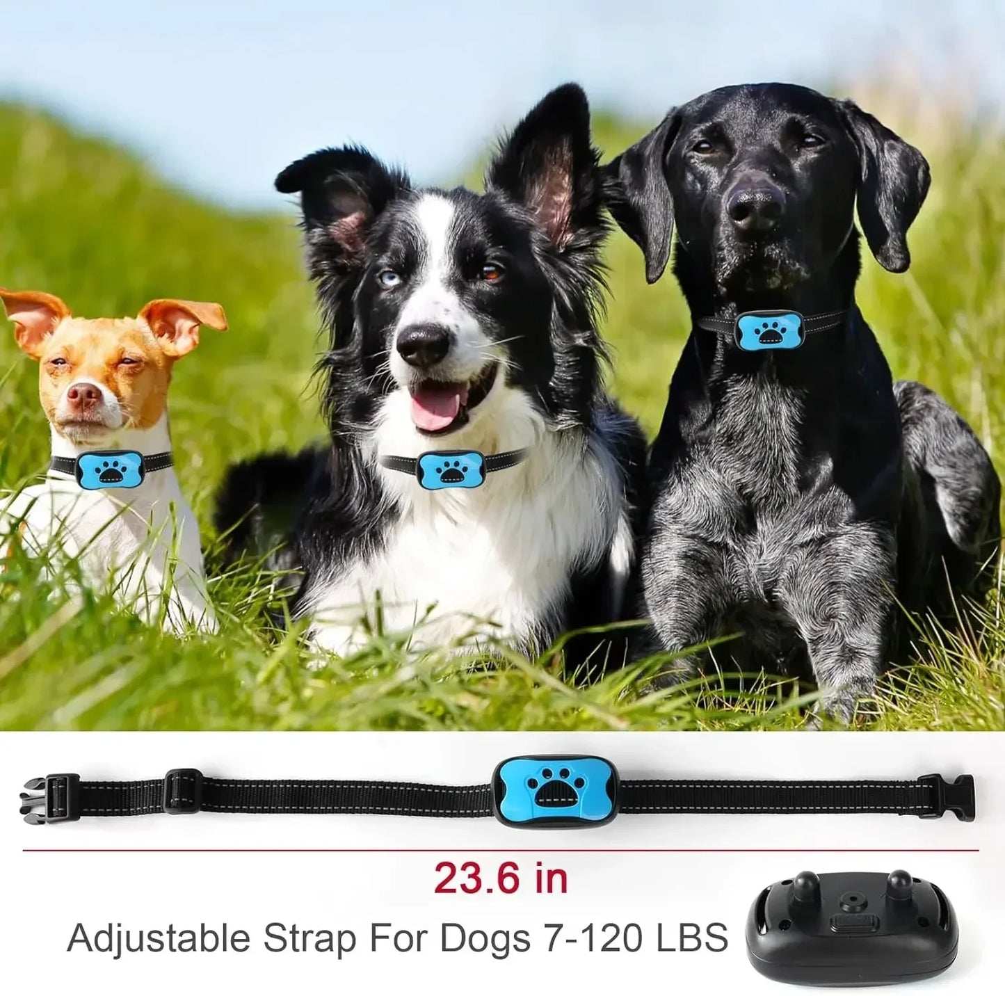 Dog Anti Barking Device