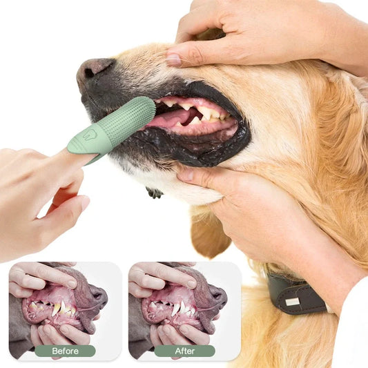 Pet Friendly Toothbrush